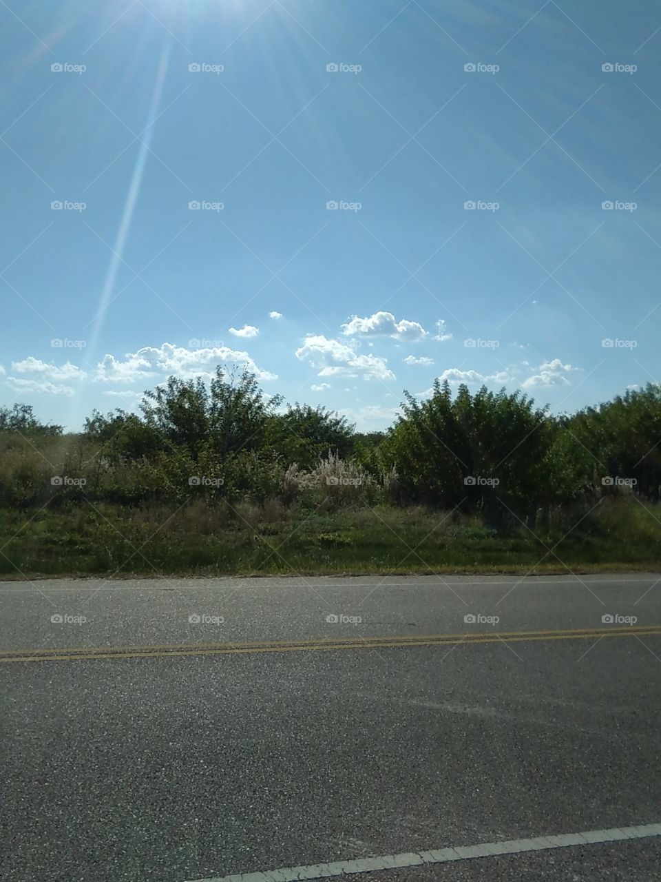 Sun Rays Over A Field