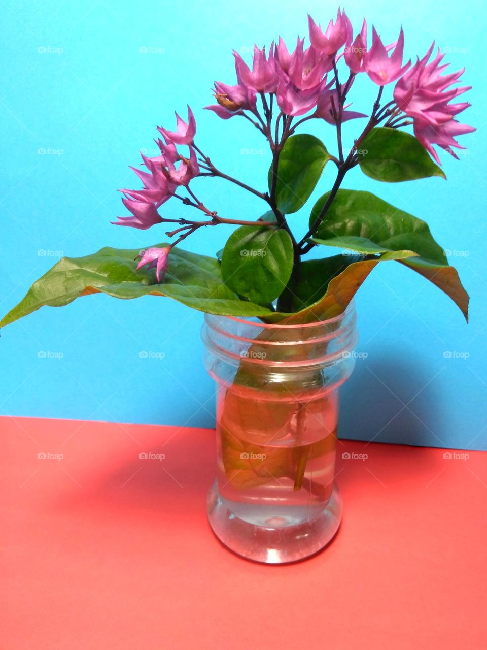 Beautiful purple flowers on vase