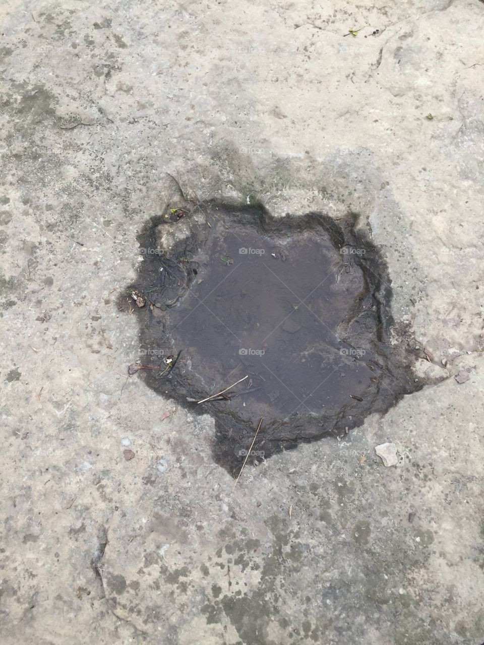 Rock puddle