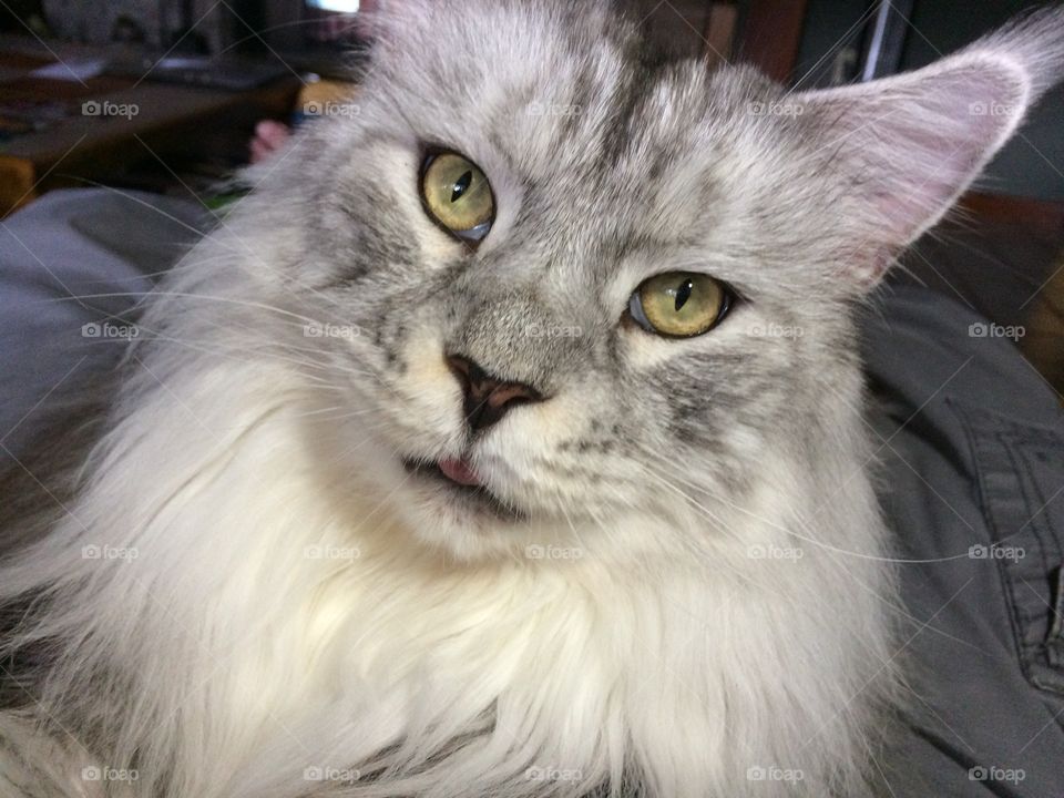 Sayyyyyy whatttttt !!!!