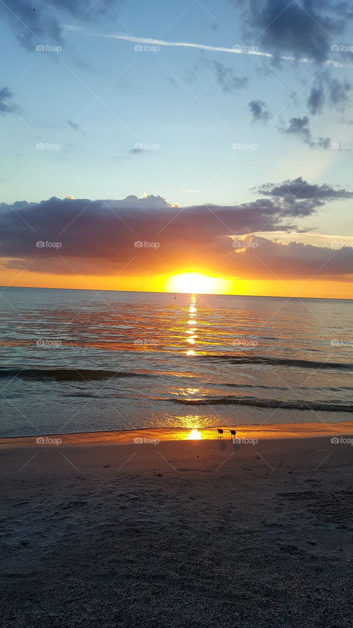 Gulf coast sunset