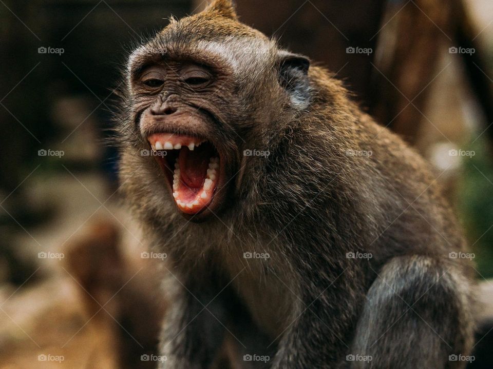 The Scream by Edvard Munch