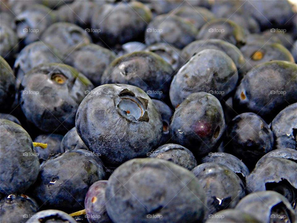 Fruity fruits - Delicious cultivated blueberries - Fruits are some of the most interesting subjects to shoot in photography. They are naturally attractive, colorful, and full of texture. Remember to eat all types of fruits to keep healthy.