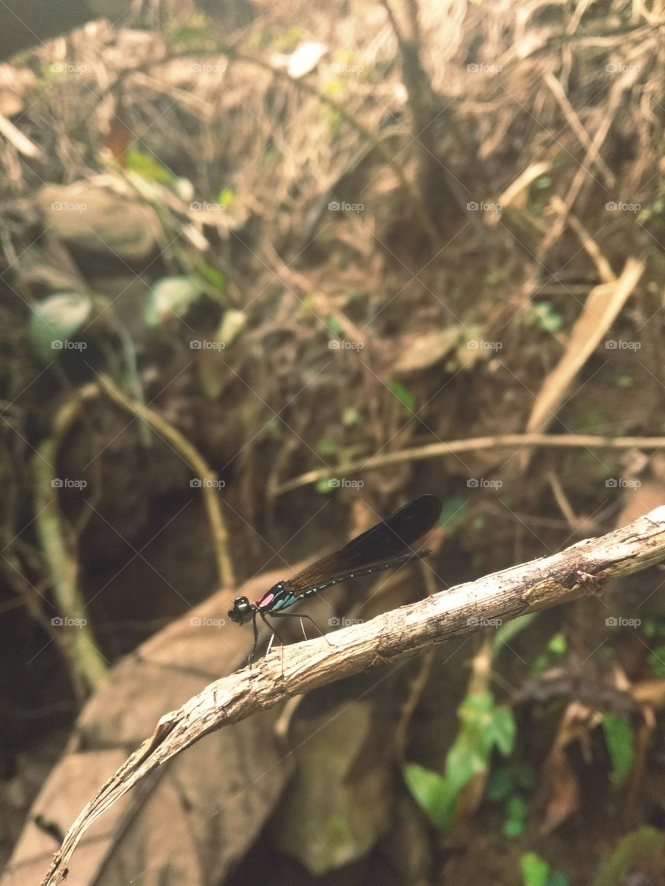 fallin deeper in love with you