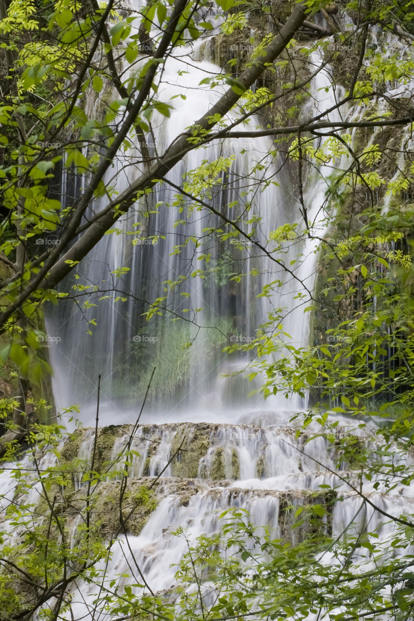 White waters in green forest