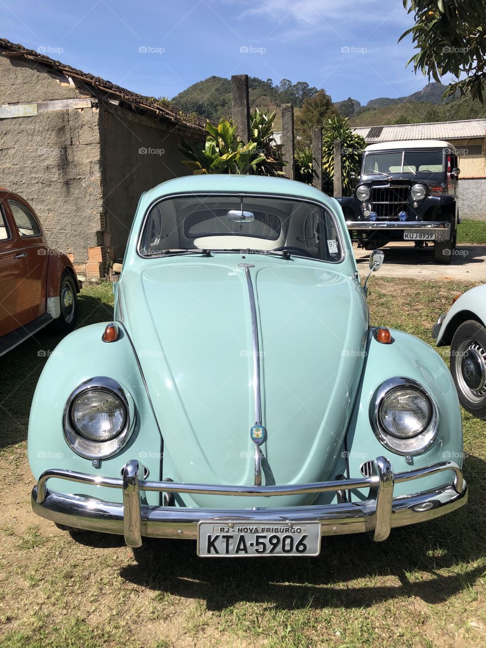 Fusca 