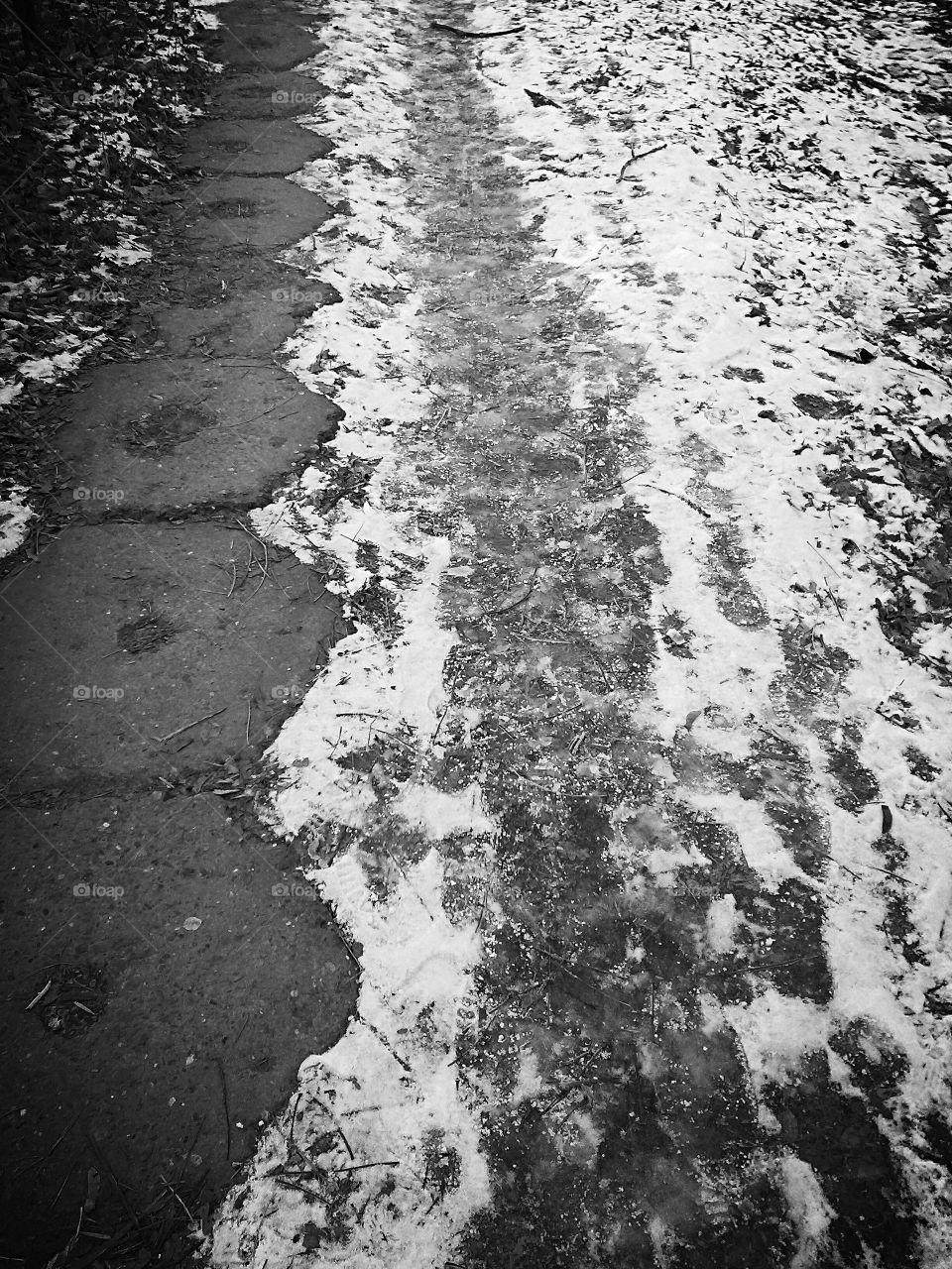 black and white walkway in the snow