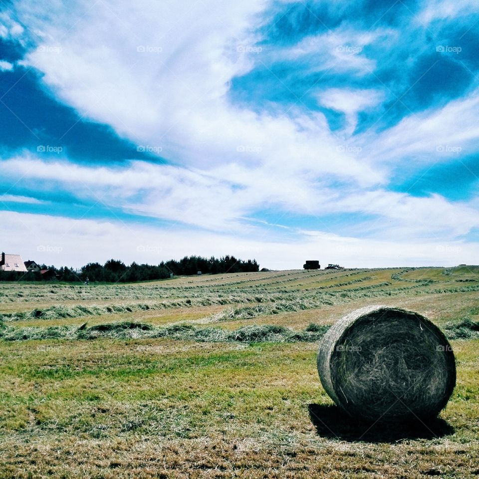 Haybale in field