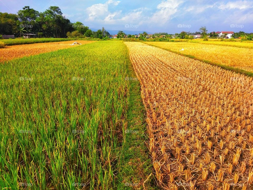 Show us your best photos