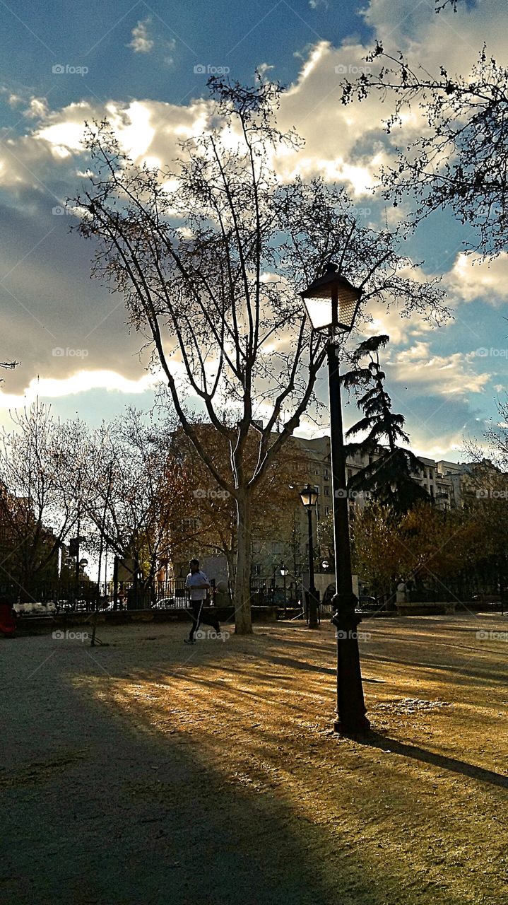 A street lamp in a park, backlit by warm Autumn sunlight.