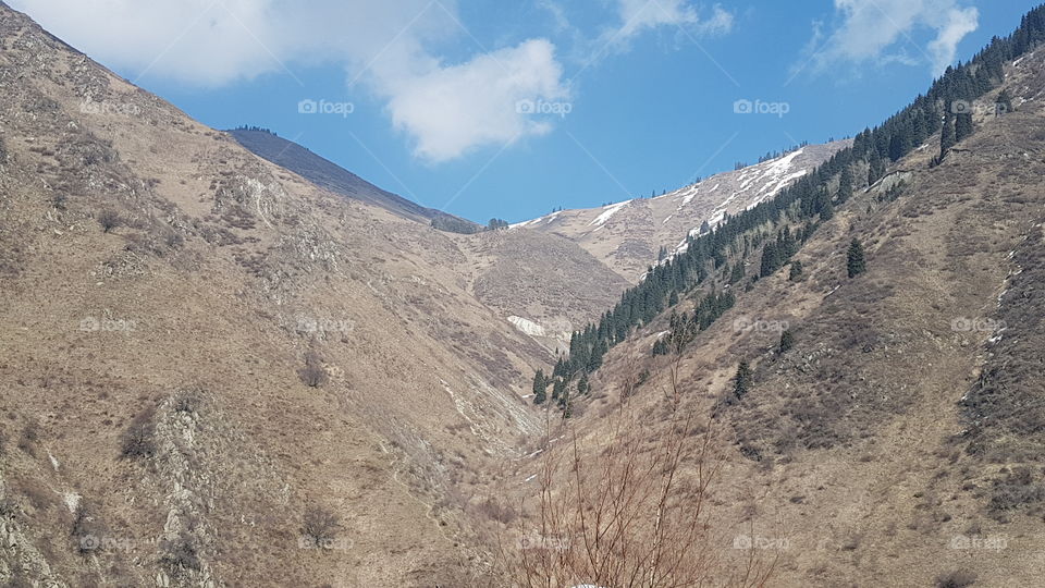 Mountain valley Zailiyskiy Alatau in spring