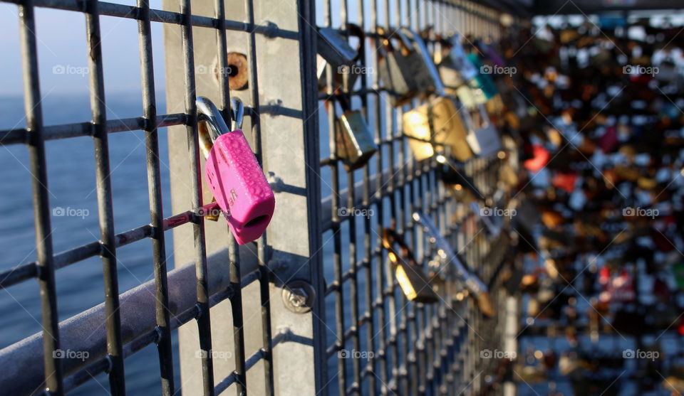 Pink lovelock, Malmö, Sweden, västra hamnen.