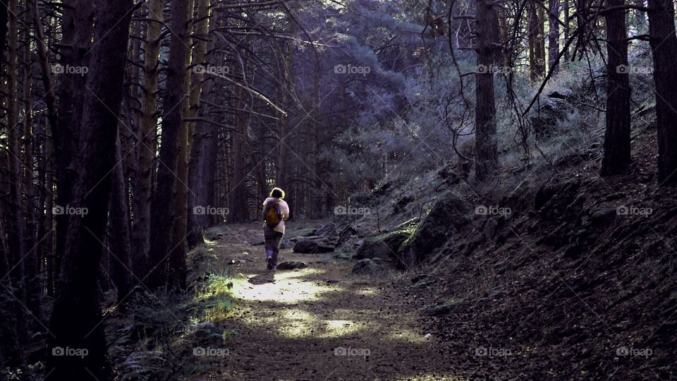 Ruta chorrera de San Mamés
 
San Mamés chorrera route