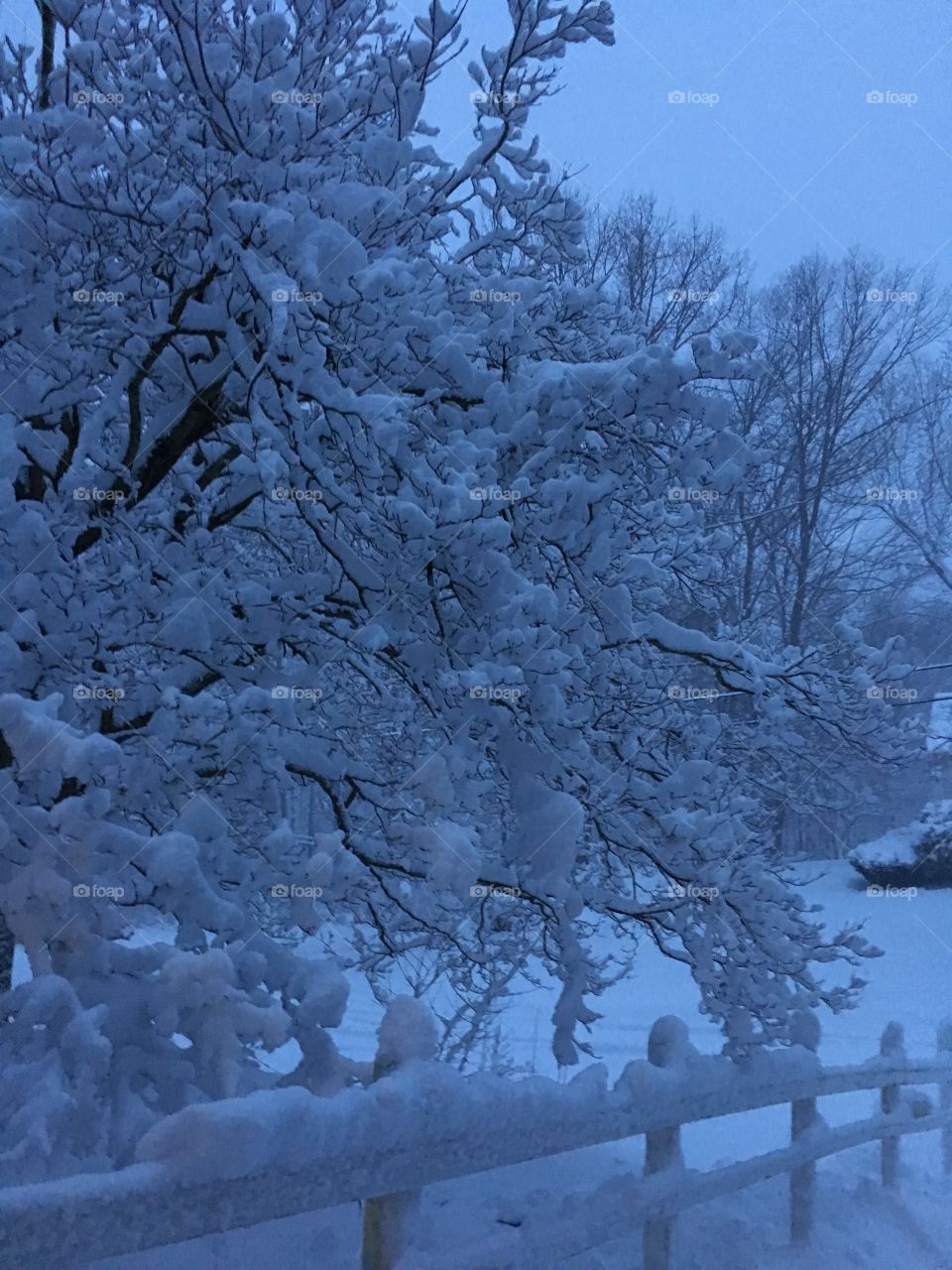 Snowstorm in CT at dusk