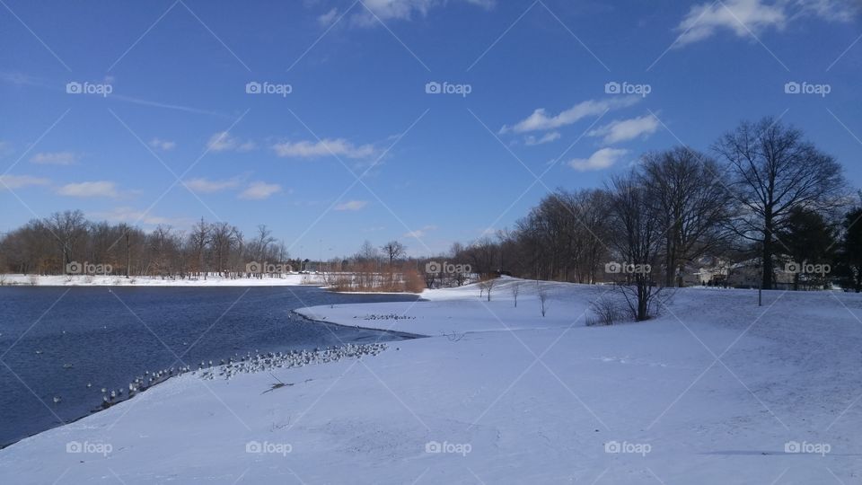 winter lake