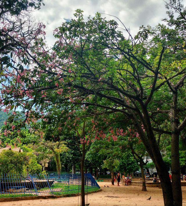 Flowers tree