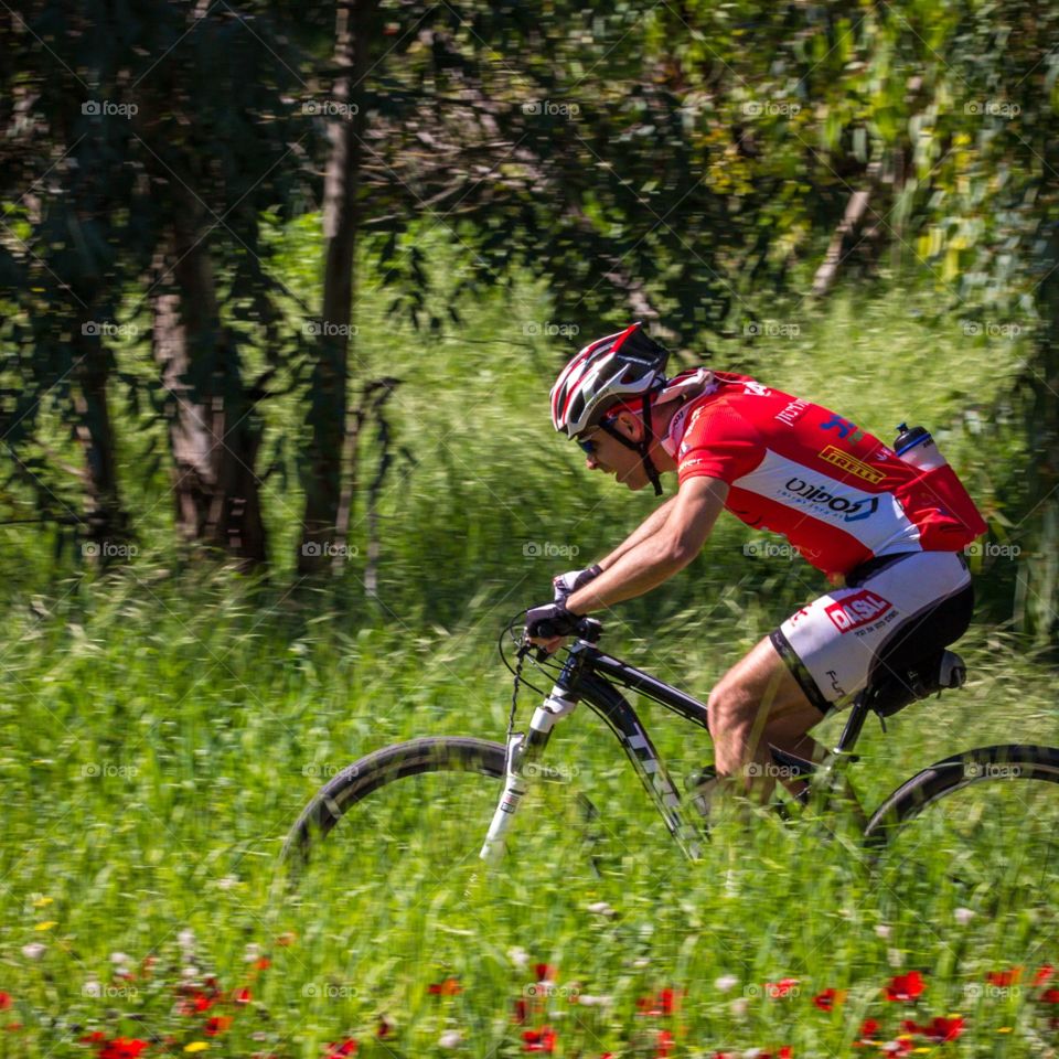 Poppies rider . Shokeda forest riding 