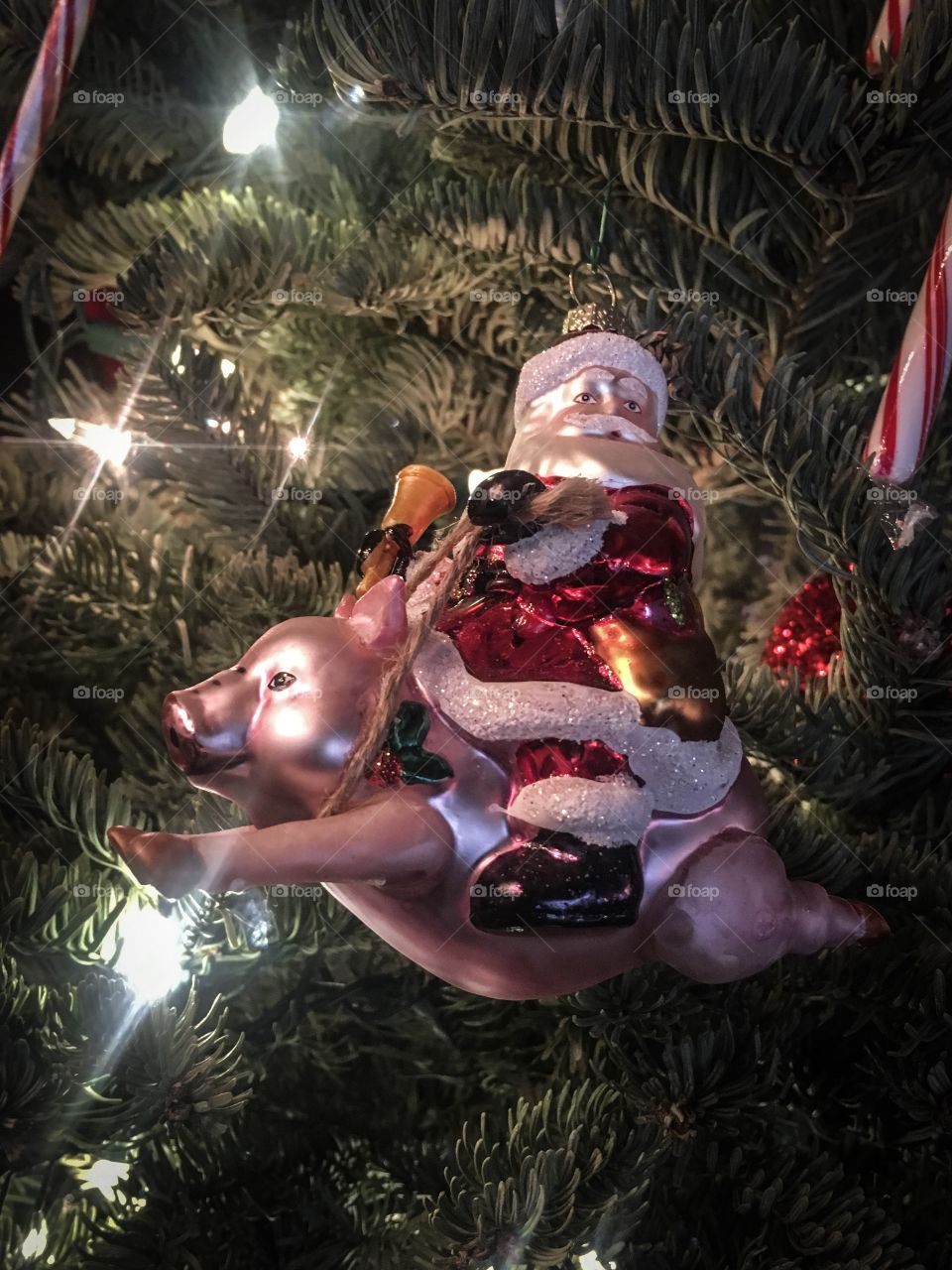 Santa riding a pig