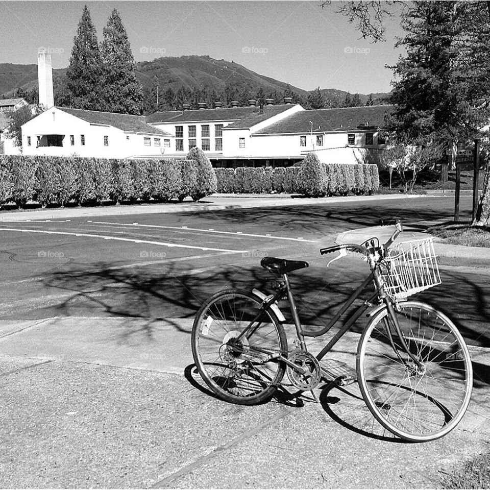 Lone Bike