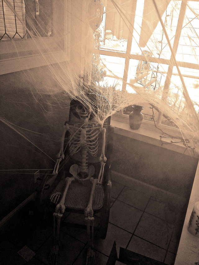Skeleton 