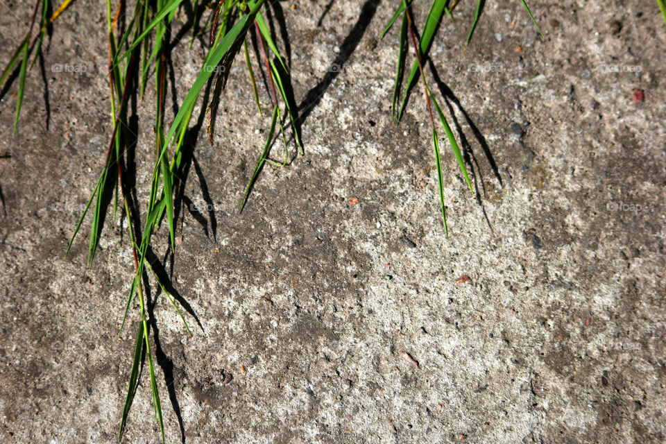 Texture, background, splash, abstraction, road, asphalt, grass, lawn