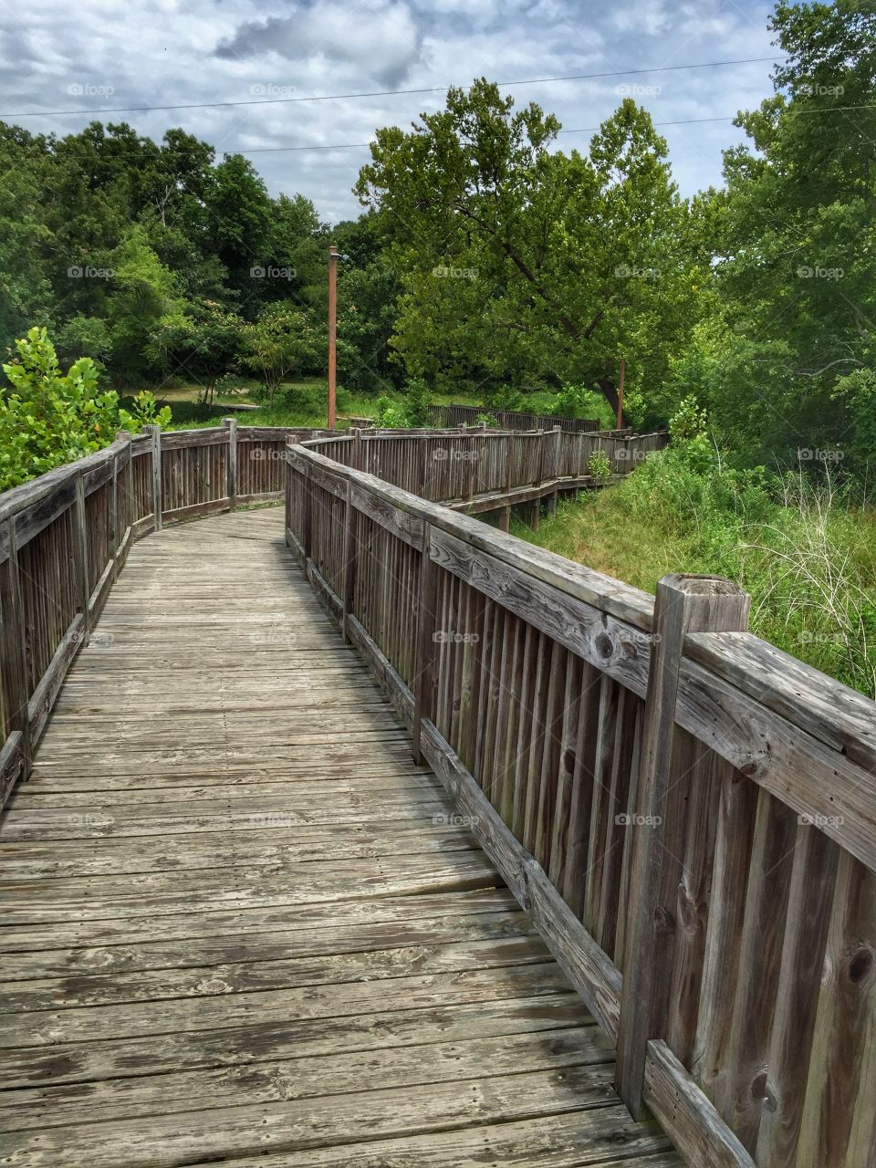 View of wooden walkway