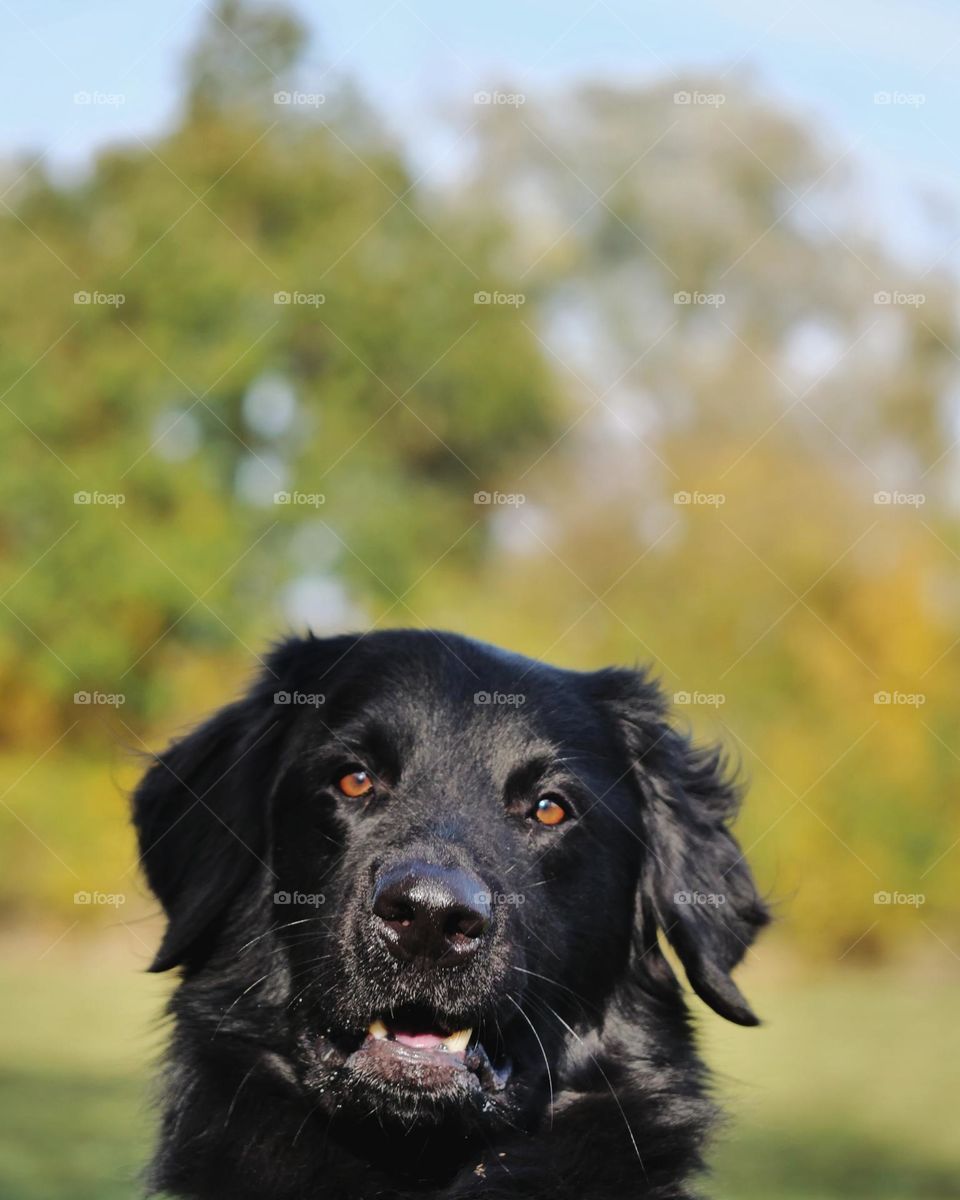 Is that what autumn smells like?