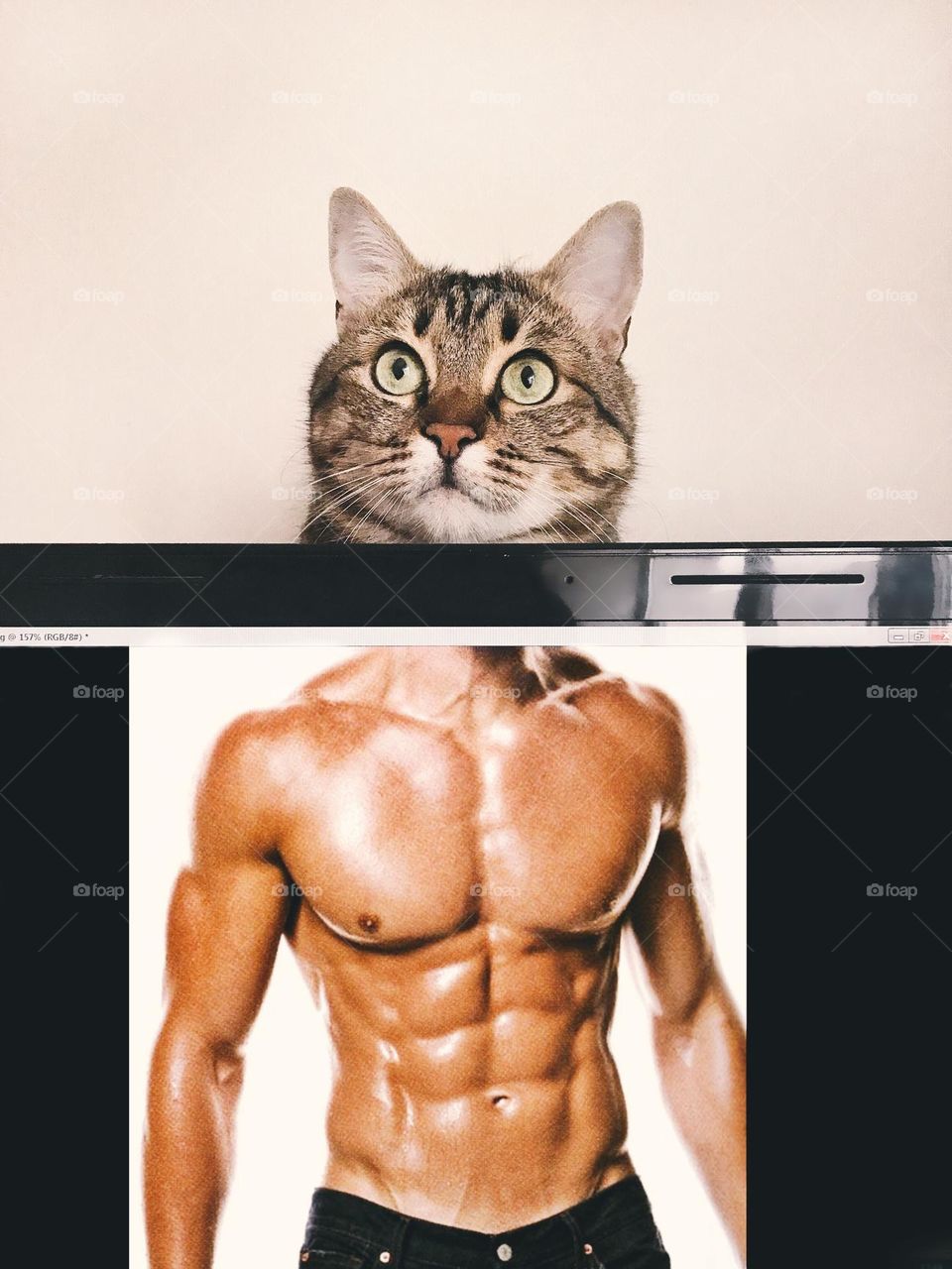 Funny strong cat