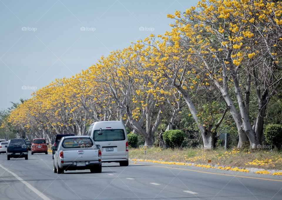 Thailand beautiful road  