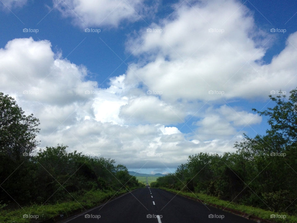 Road in Galapagos