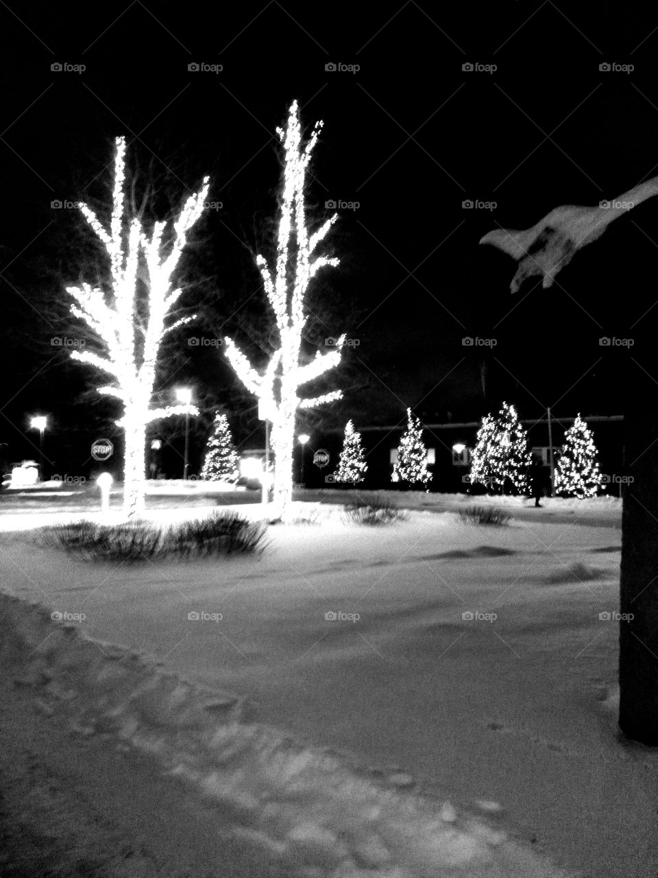 Christmas time luminous lights on the branches of the snow covered trees and streetlights brighten nature, building is located background.