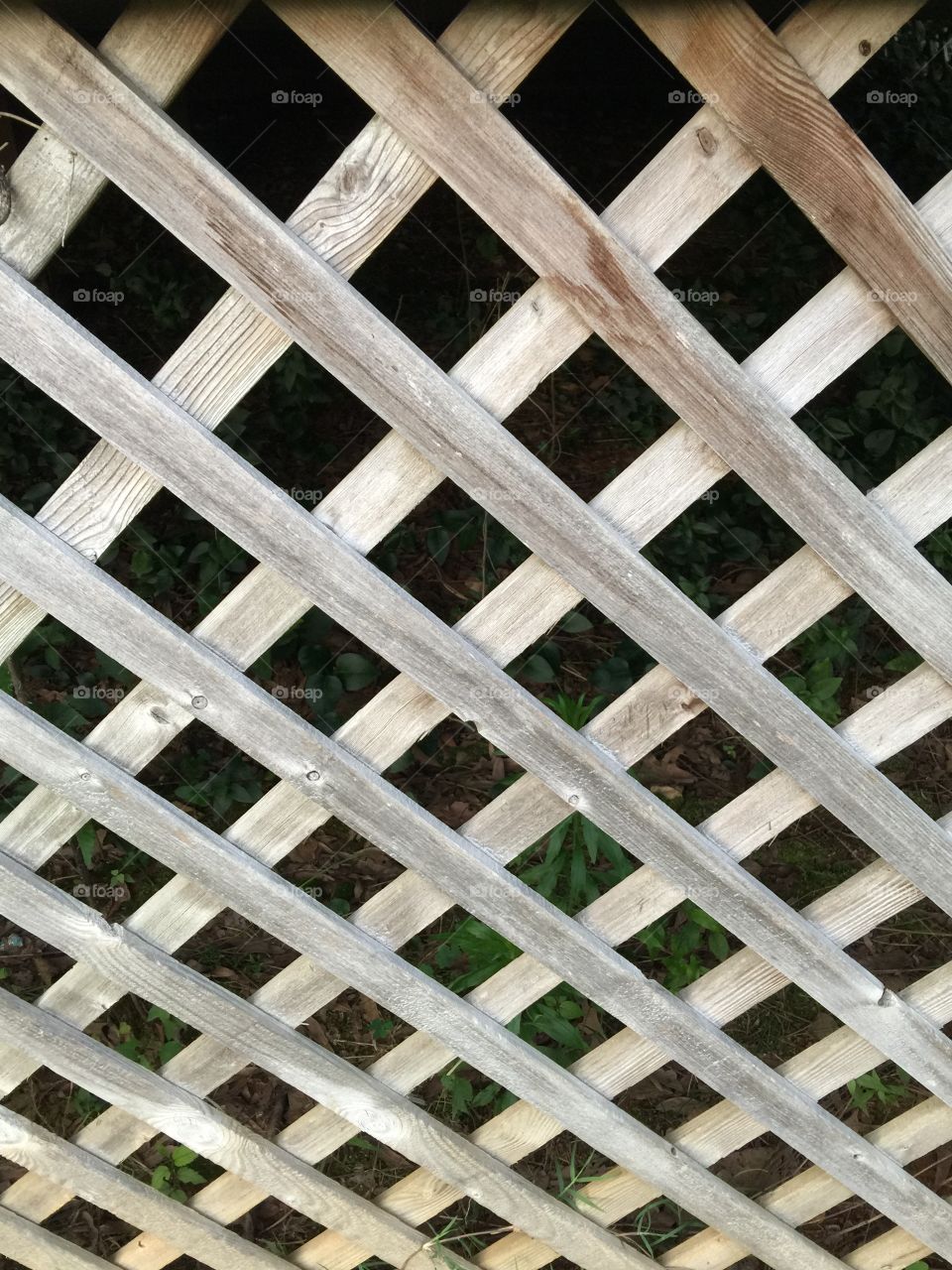 Fence