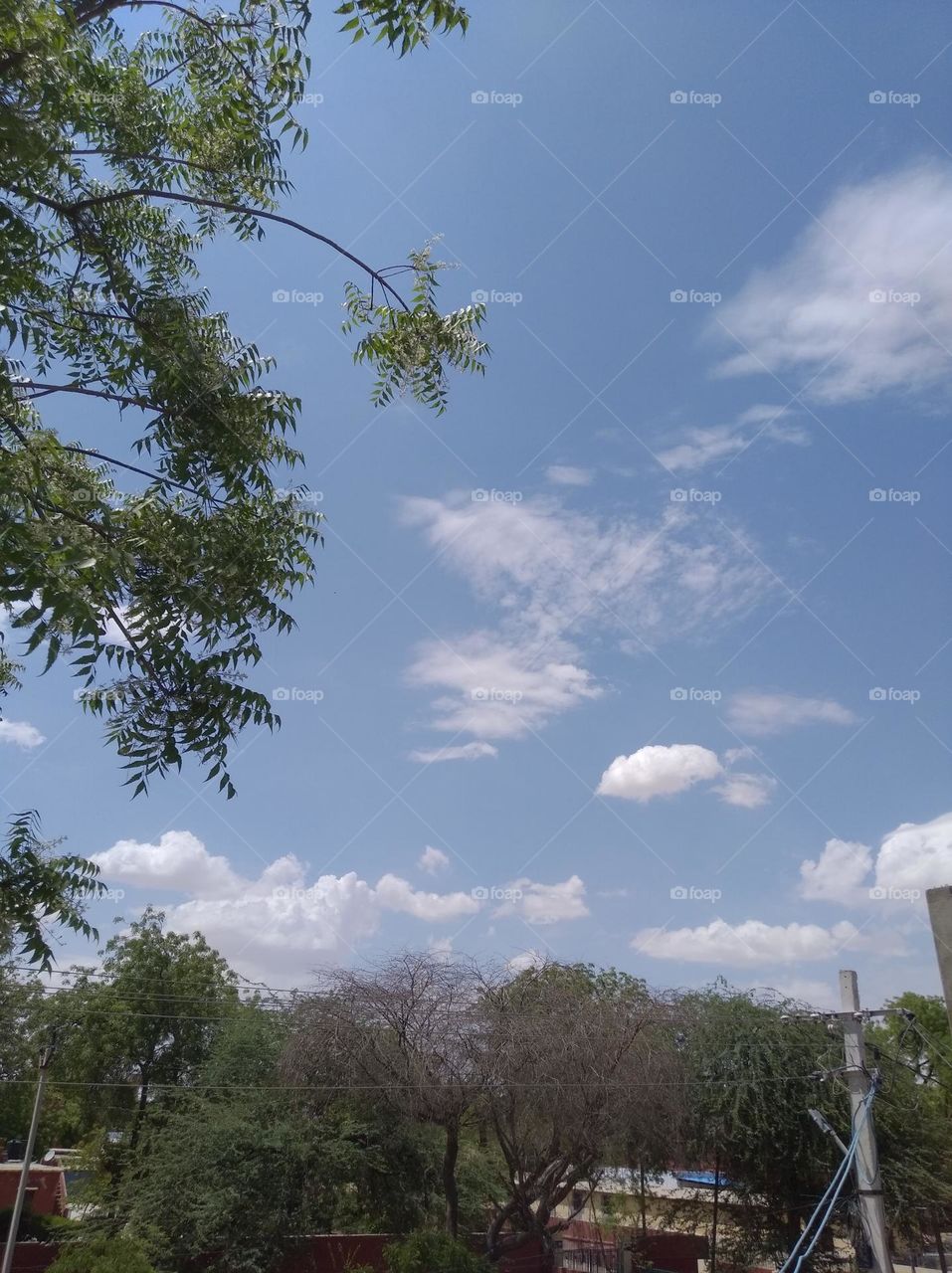 a shiney day white clouds in blue sky whitish cloud scattered green plant tree looks very beautiful