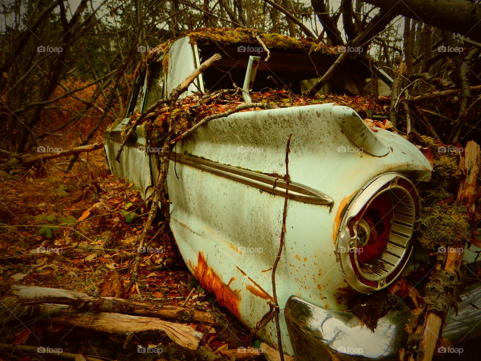 Abandoned Ford fairlane cassiar British Columbia Canada 
