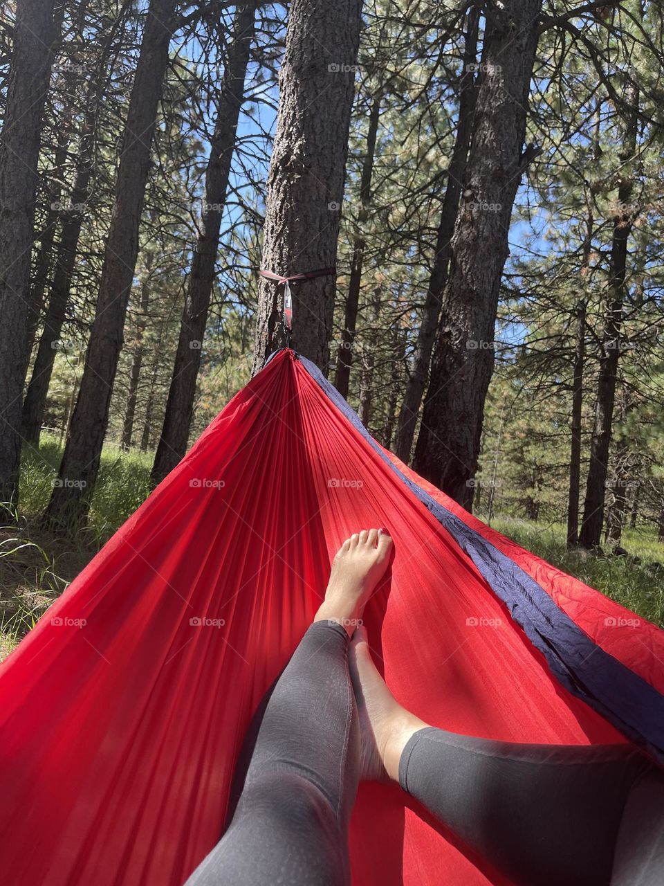 Hammock 