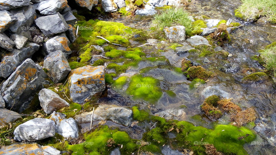 The beautiful water flow between rocks and stones. It is Bongdang village of Leh Laddakh.