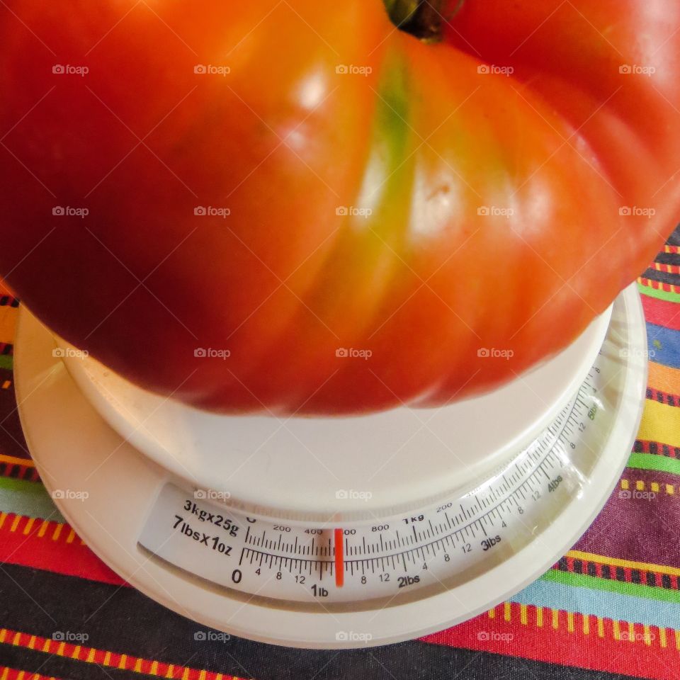 One Big Tomato