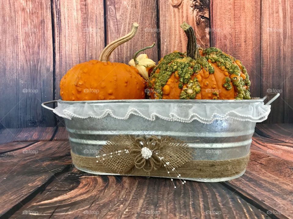 An old country style metal tub with freshly harvested and multi-colored gourds along with two heavily textured pumpkins in orange and green for the fall harvest and Halloween and Thanksgiving holidays. 