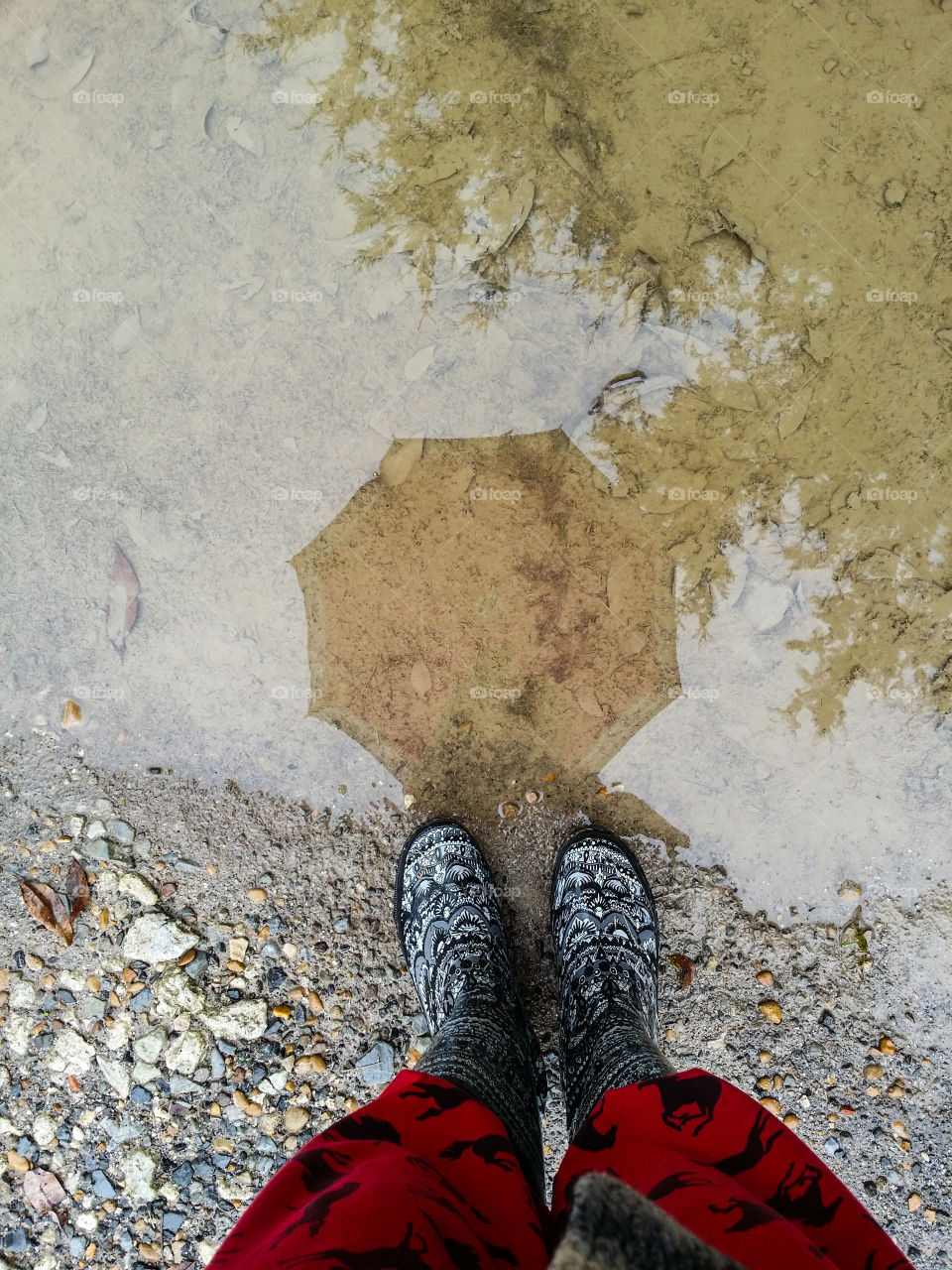 Reflection in a Puddle