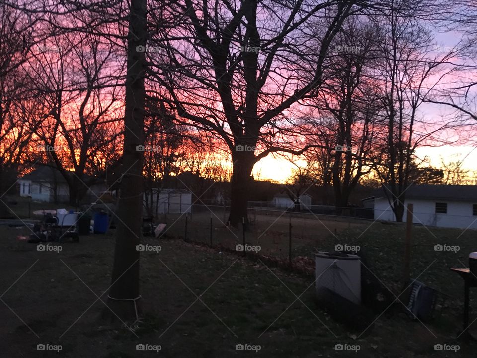 Sunrise this morning over Arkansas beautiful pink sky. Bursting through the trees.