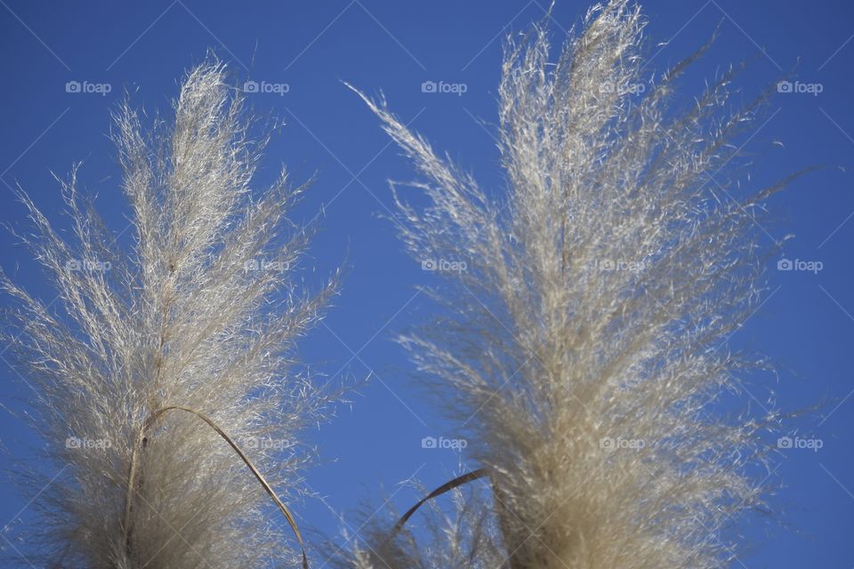 Go With The Flow 🌾