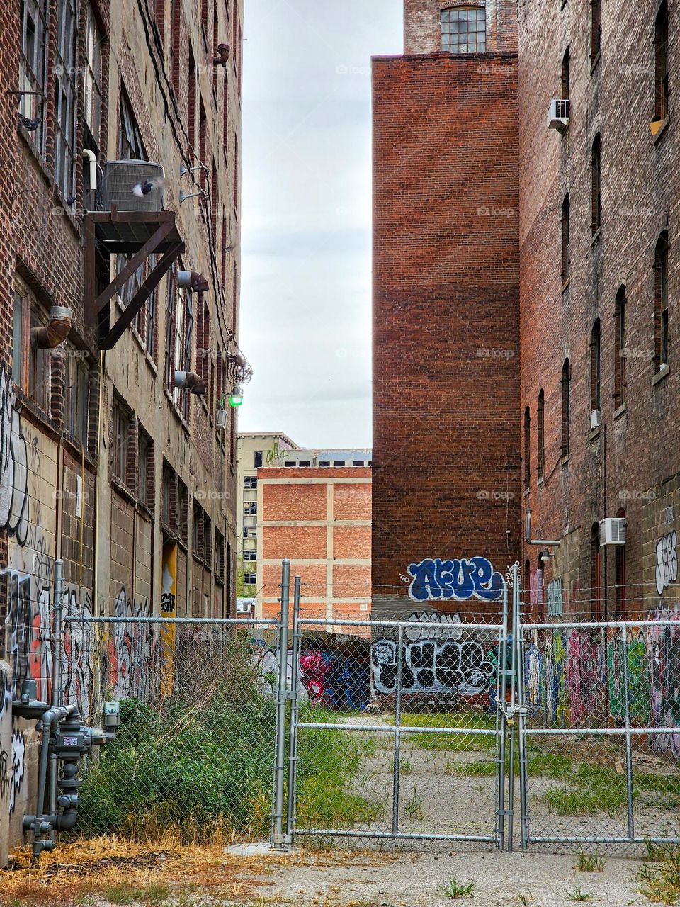 Taggers have had a great time marking their turf on abandoned buildings in a downtown area