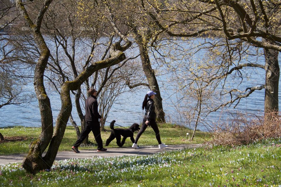 Spring in Stockholm. Spring in Stockholm, Sweden