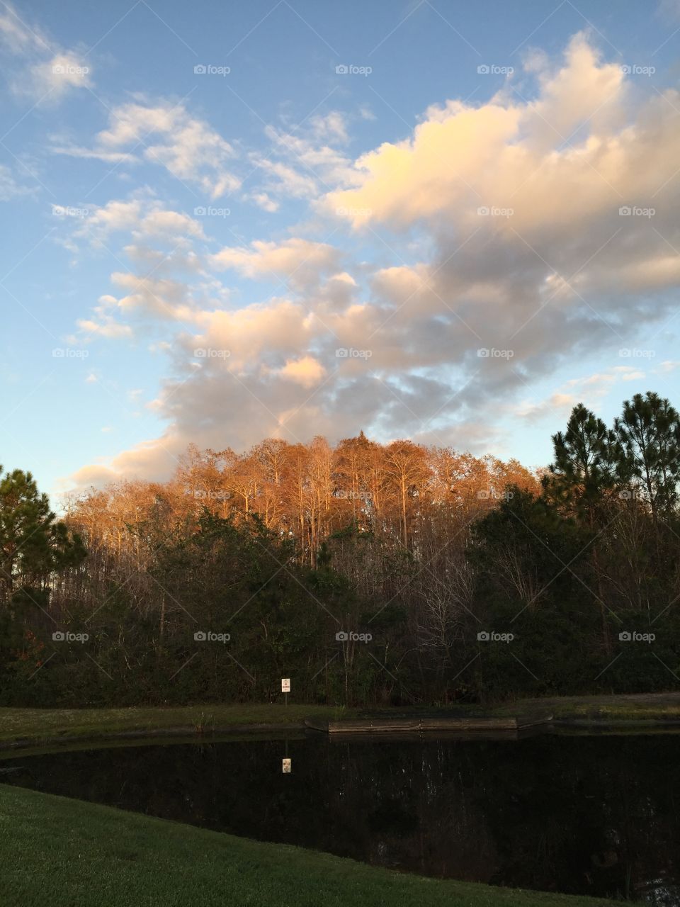 Shadows, shade, clouds