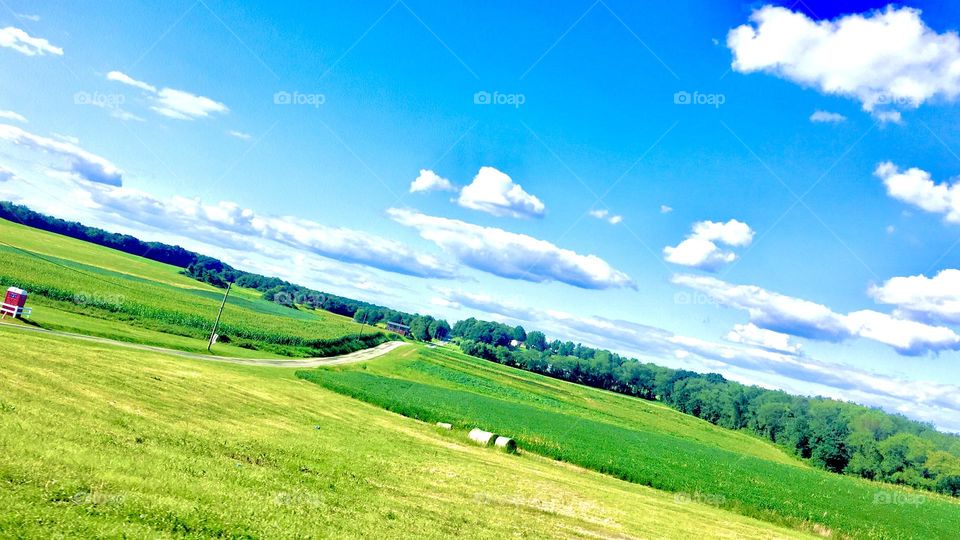 the country side is the best side