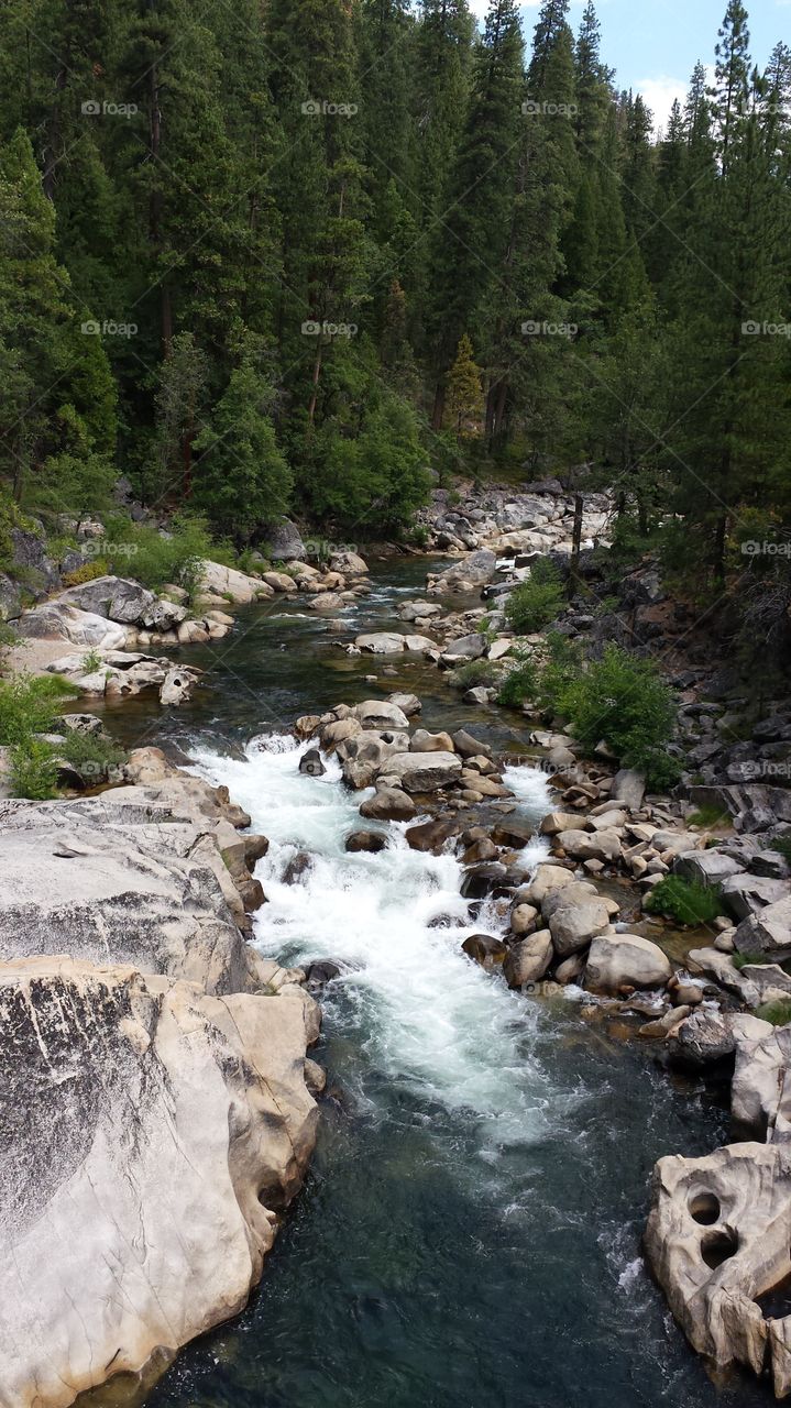 beautiful river with trees