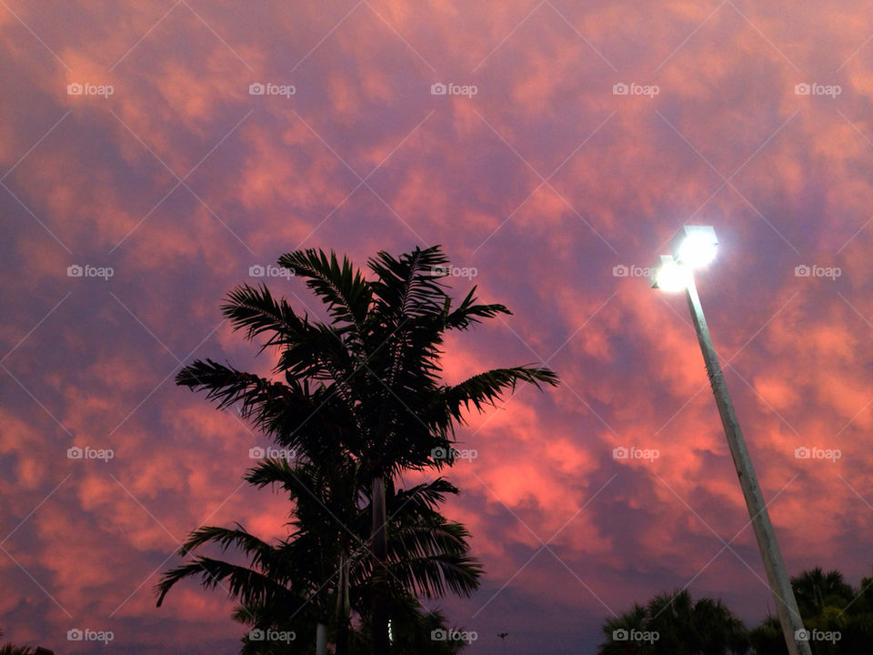 Clouds at sunset with palm tree