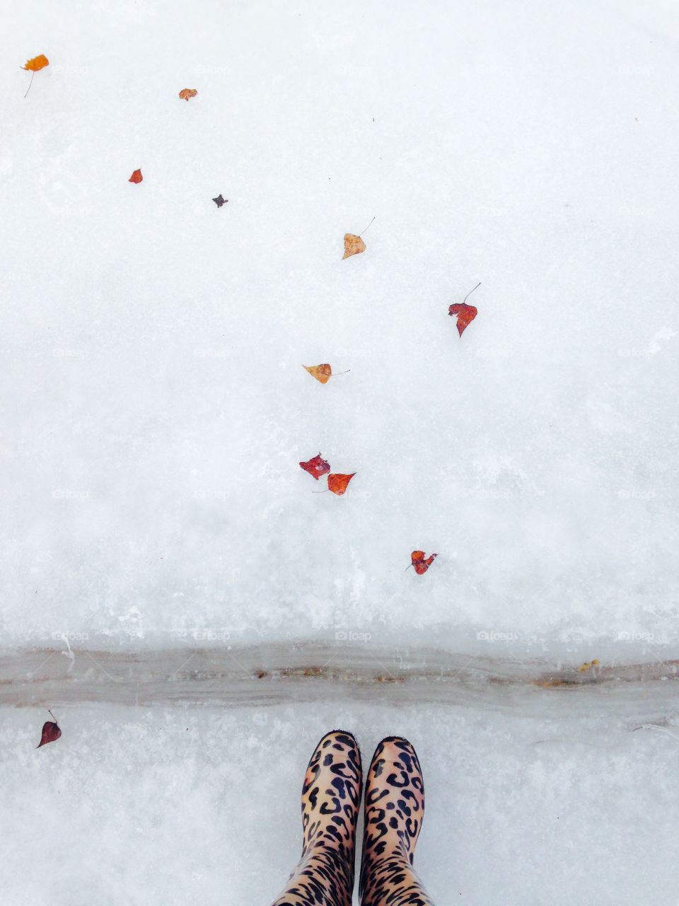 I like to have a walk at frozen Dnipro river. Sometimes you can find there bright frozen autumn leaves, which look as a treasure. Feet view, standing on the ice, covering frozen leaves. 