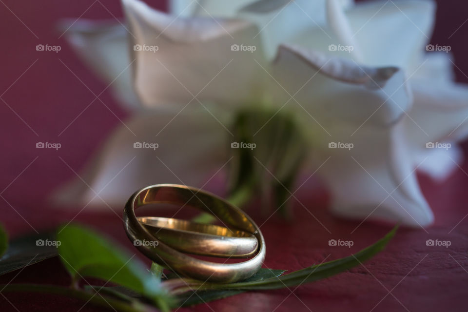 rings and withe rose