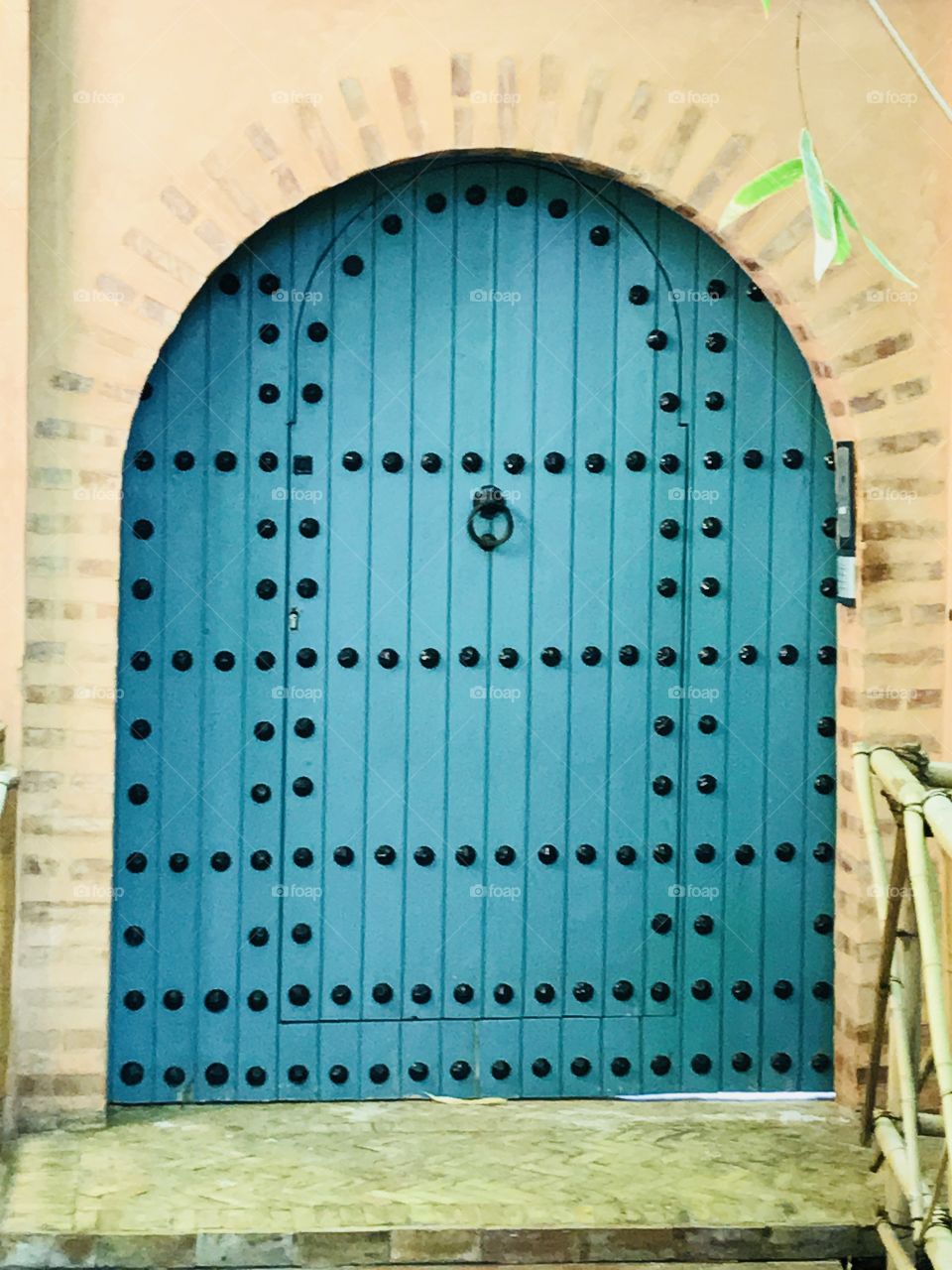 Door